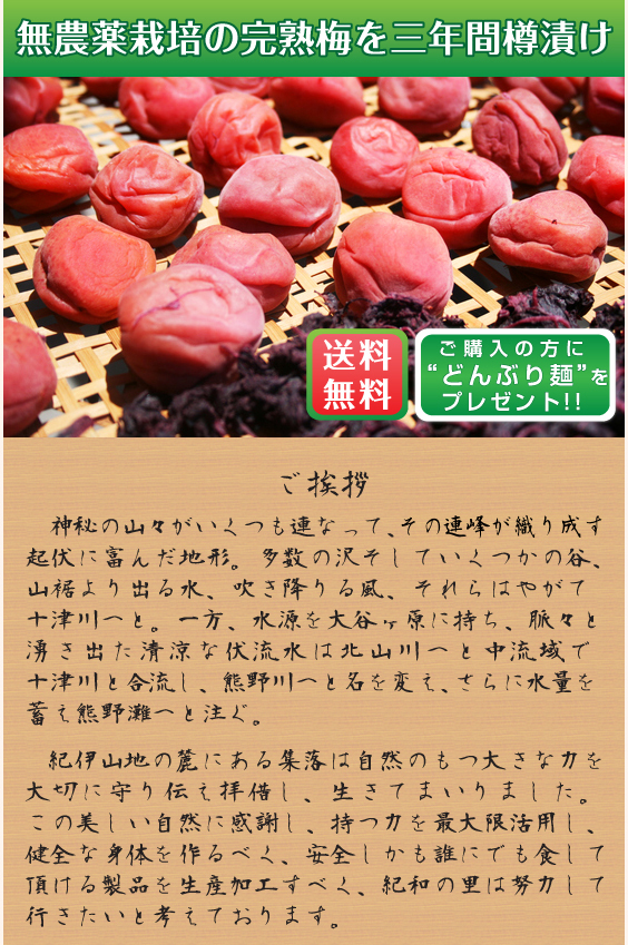 無農薬生産加工所・三年漬け紀和の里梅