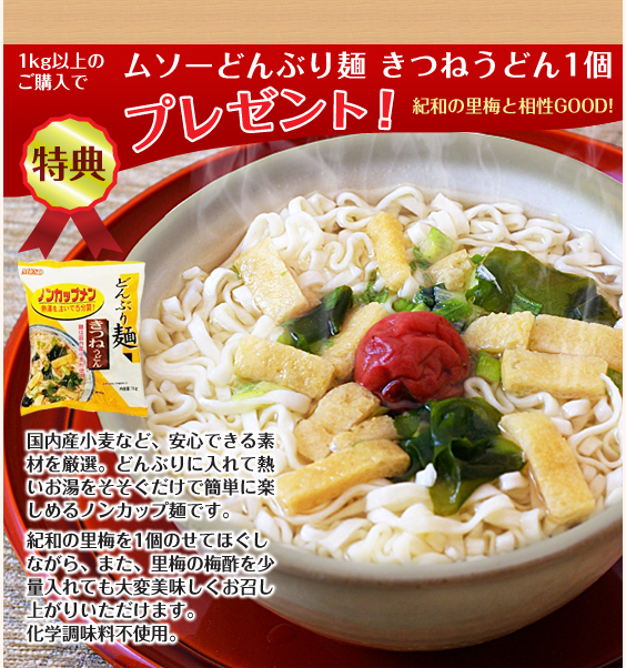 紀和の里梅ご購入プレゼント